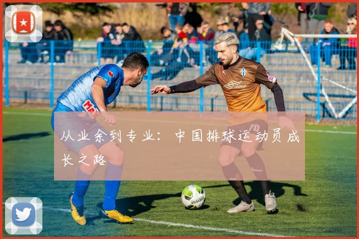 从业余到专业:中国排球运动员成长之路