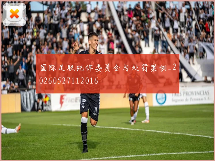 国际足联纪律委员会与处罚案例_20260527112016
